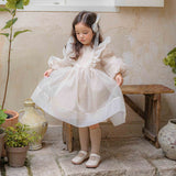 Annes Organza Dress _Rose Pink