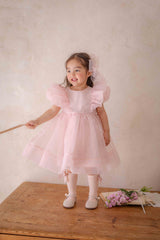 Ines Organza Dress_ Pink