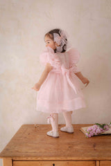 Ines Organza Dress_ Pink