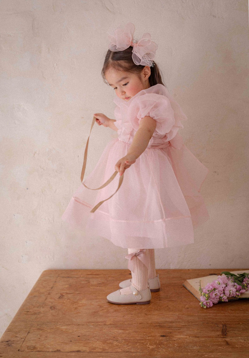 Ines Organza Dress_ Pink