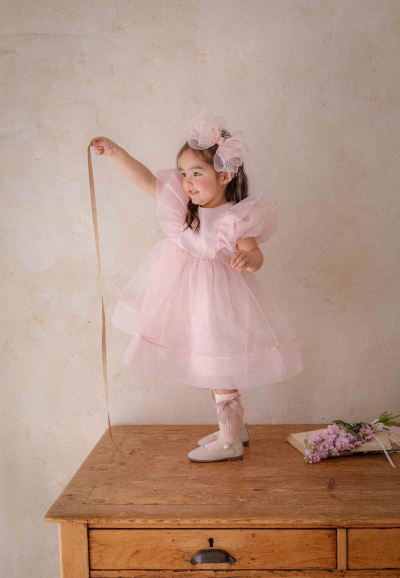 Ines Organza Dress_ Pink