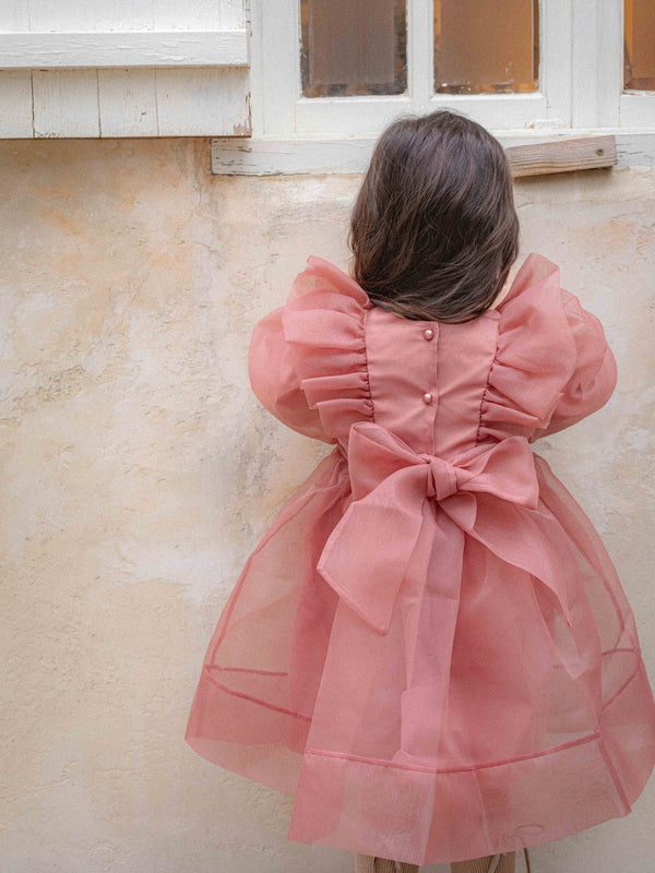 Annes Organza Dress _Rose Pink