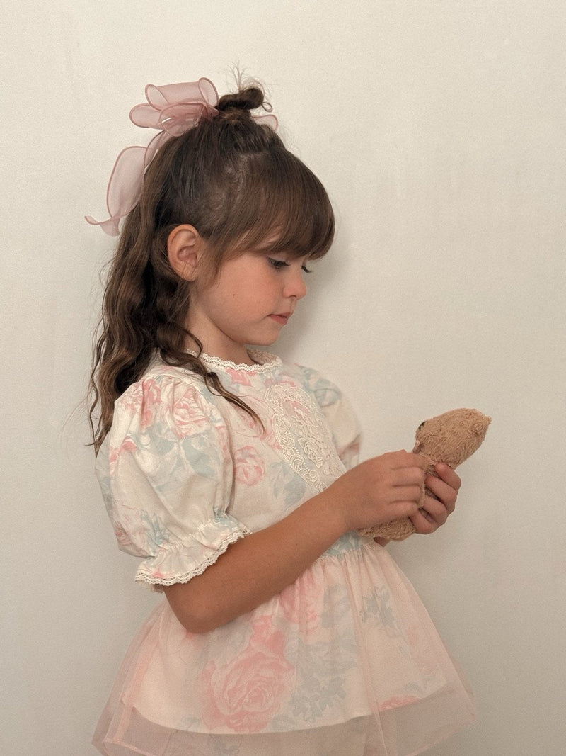 Rosha Blouse & Pants Set