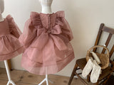 Annes Organza Dress _Rose Pink