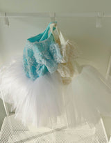 Gabriel Ballet Tutu_Blue