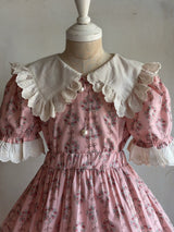 Haro Pink Floral Blouse & Skort Set