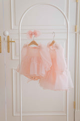Rose Cloud Organza Dress