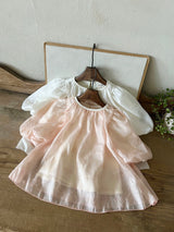Swan Dress_ 2 Colours