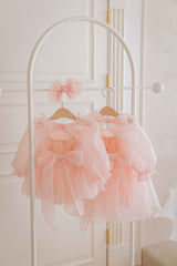 Rose Cloud Organza Dress