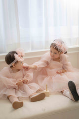 Rose Cloud Organza Dress