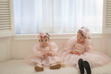 Rose Cloud Organza Dress