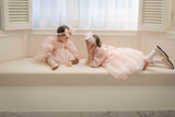 Rose Cloud Organza Dress