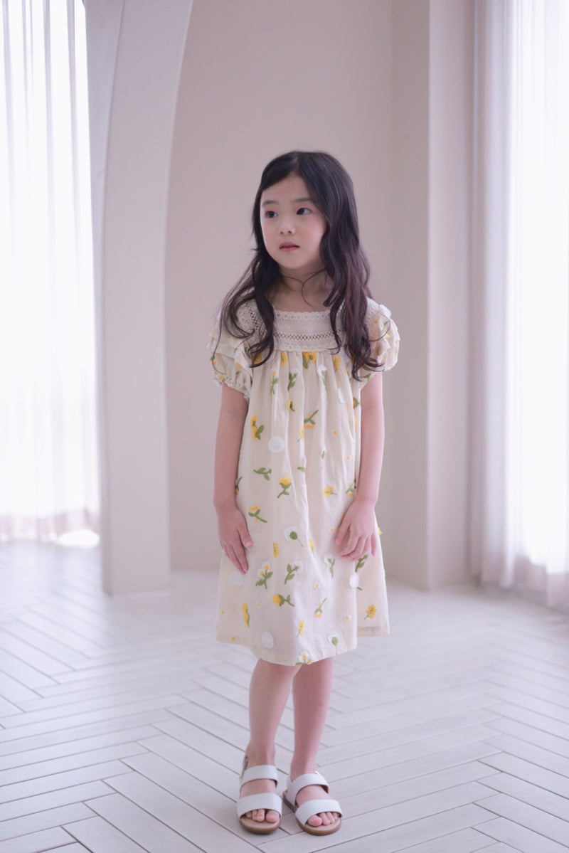 Garden Embroidered Dress