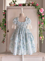 Monet Blue Floral Dress