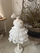 Colette Tutu Lace Dress_White