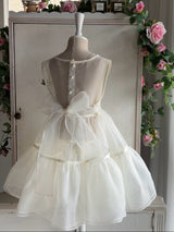 Audrey Organza Layering Dress