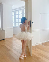 Swan Ballet Tutu