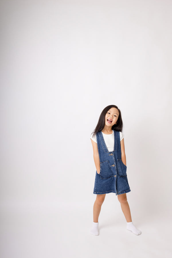 Icon Denim Dress
