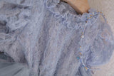 Velorin Shimmer Tulle Dress _Blue