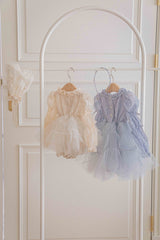 Velorin Shimmer Tulle Dress _Blue