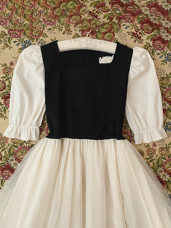 Mademoiselle Adult Dress