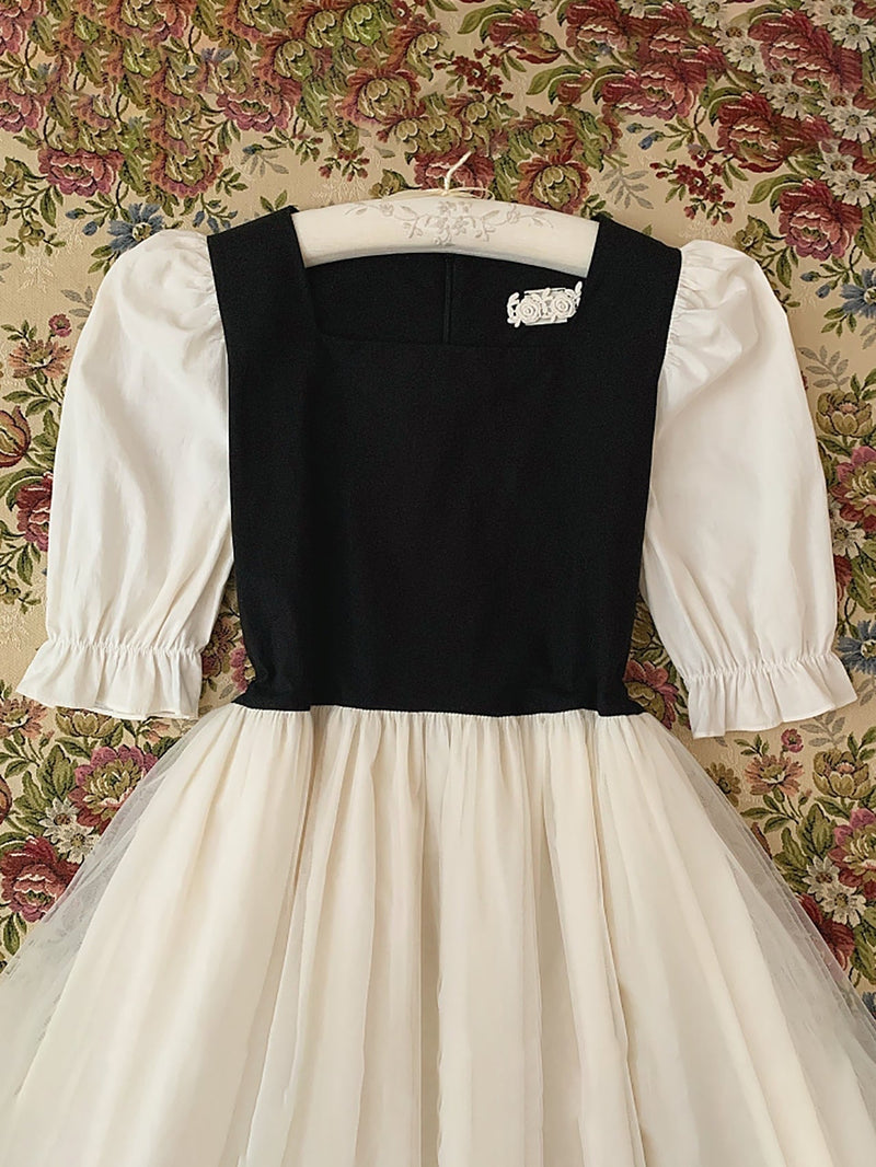 Mademoiselle Adult Dress