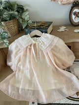 Swan Dress_ 2 Colours