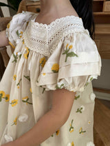 Garden Embroidered Dress