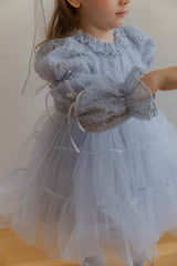 Velorin Shimmer Tulle Dress _Blue
