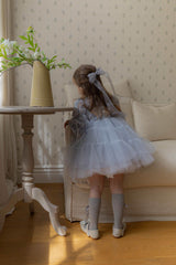 Velorin Shimmer Tulle Dress _Blue