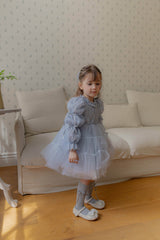 Velorin Shimmer Tulle Dress _Blue