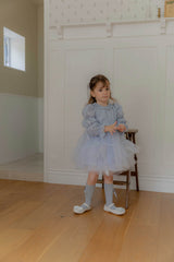 Velorin Shimmer Tulle Dress _Blue