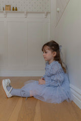 Velorin Shimmer Tulle Dress _Blue