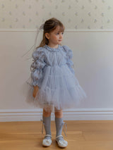 Velorin Shimmer Tulle Dress _Blue
