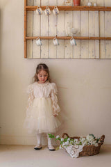 Velorin Shimmer Tulle Dress _Cream