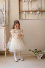 Velorin Shimmer Tulle Dress _Cream