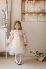 Velorin Shimmer Tulle Dress _Cream