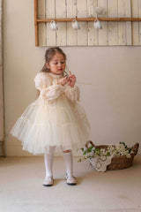 Velorin Shimmer Tulle Dress _Cream