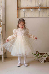 Velorin Shimmer Tulle Dress _Cream