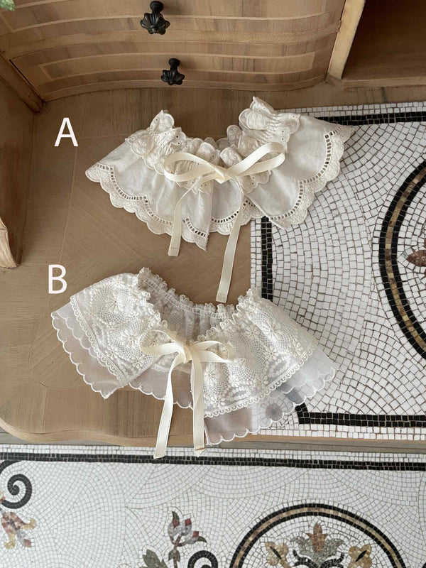Butterfly Lace Neck Collar _2Types