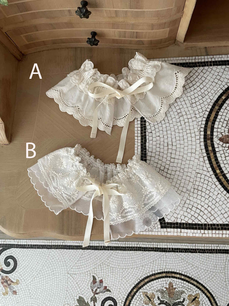 Butterfly Lace Neck Collar _2Types