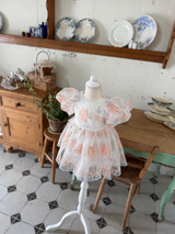 Sarah Dress_ Orange