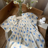 Misty Dress _Blue Floral