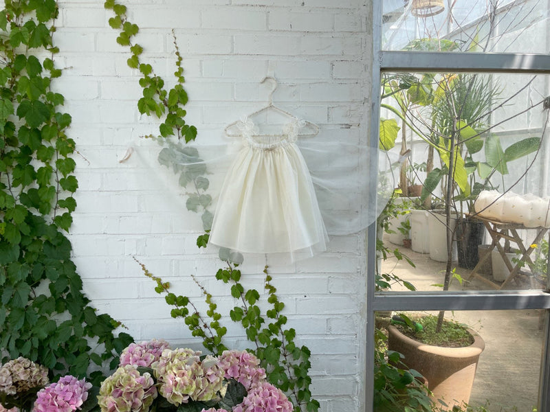 Baby Angel Wings Dress